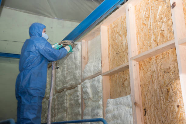 Professional Insulation Contractor in Green Cove Springs, FL